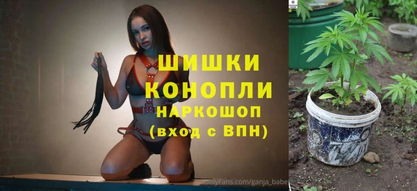 хмурый Белокуриха