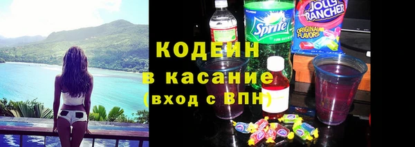 хмурый Белокуриха